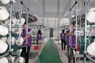 麗富藝集團各生產(chǎn)廠工作動態(tài)