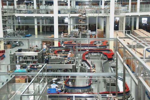 匠心鑄精品 質(zhì)量強(qiáng)佛山 九 打造美味王國,這瓶醬油不簡(jiǎn)單